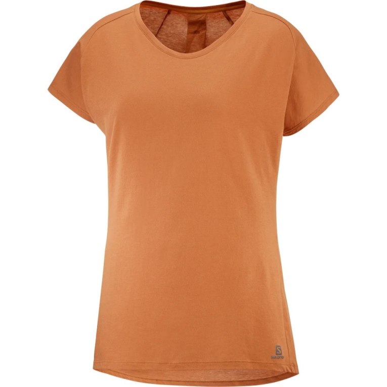 Brown Salomon Essential Shaped Short Sleeve Women's T-Shirts | PH 30456D